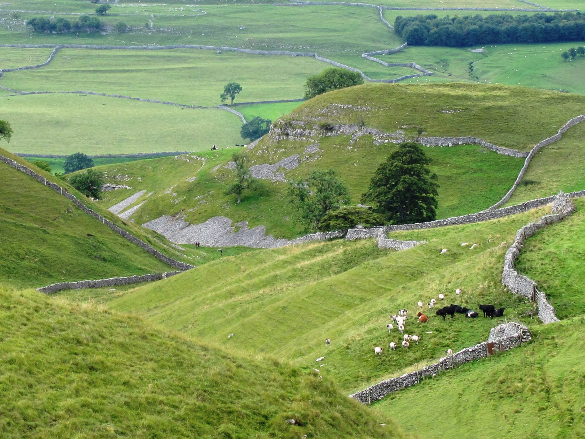 Photo of green hills and stone walls